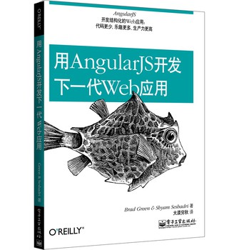 用AngularJS开发下一代Web应用 下载