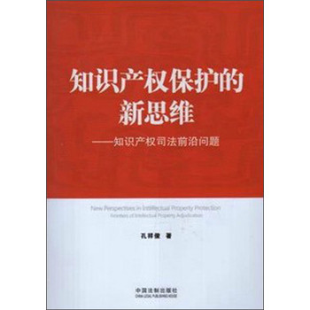 知识产权保护的新思维：知识产权司法前沿问题 下载