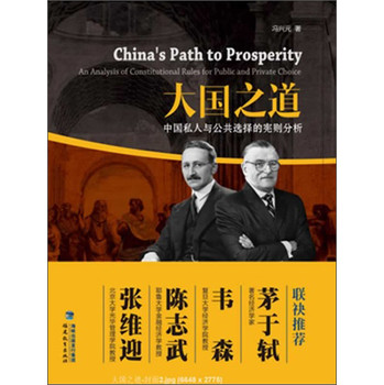 大国之道：中国私人与公共选择的宪则分析 下载