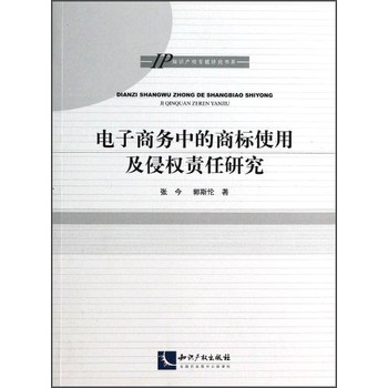 IP知识产权专题研究书系：电子商务中的商标使用及侵权责任研究 下载