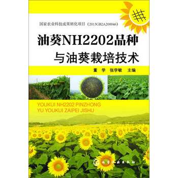 油葵NH2202品种与油葵栽培技术