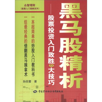 黑马股精析：股票投资入门致胜9大技巧 下载