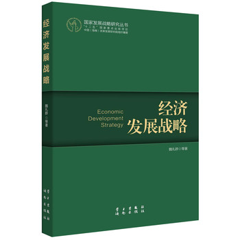 国家发展战略研究丛书：经济发展战略 下载