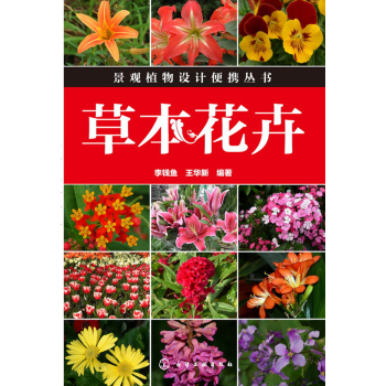 草本花卉 下载