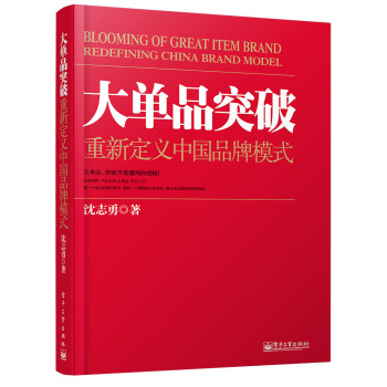 大单品突破——重新定义中国品牌模式 下载