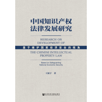 中国知识产权法律发展研究：基于维护国家经济安全的视角 下载