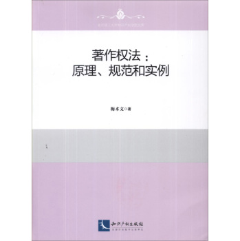 著作权法：原理、规范和实例 下载