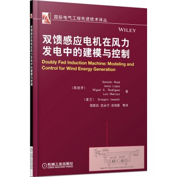 双馈感应电机在风力发电中的建模与控制 下载