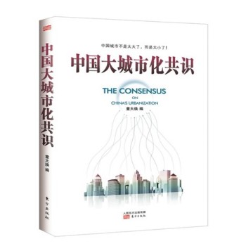 中国大城市化共识 下载