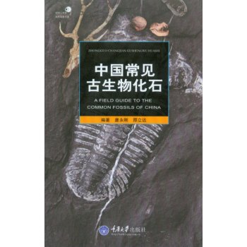 中国常见古生物化石 下载