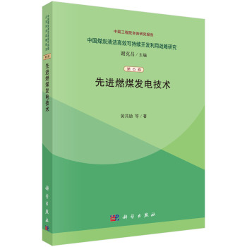 中国煤炭清洁高效可持续开发利用战略研究：先进燃煤发电技术 下载