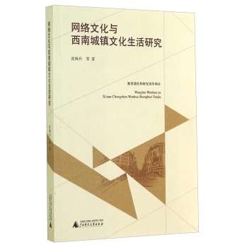 网络文化与西南城镇文化生活研究