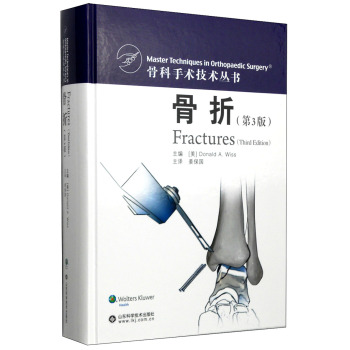骨科手术技术丛书：骨折