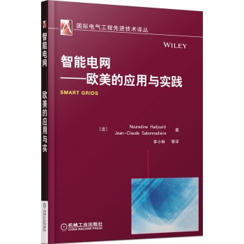 国际电气工程先进技术译丛·智能电网：欧美的应用与实践 下载