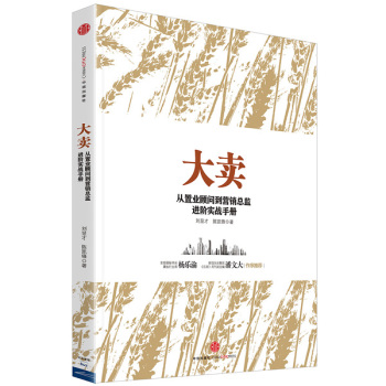 大卖：从置业顾问到营销总监进阶实战手册 下载