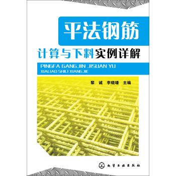 平法钢筋计算与下料实例详解 下载