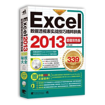 Excel2013数据透视表实战技巧精粹辞典