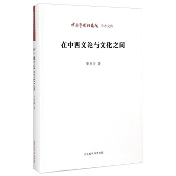 中国艺术研究院学术文库：在中西文论与文化之间 下载