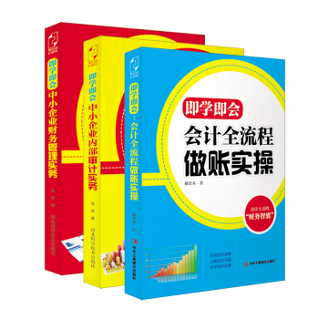 新手会计“即学即会”：中小企业财务管理实务+中小企业内部审计实务+会计全流程做账实操