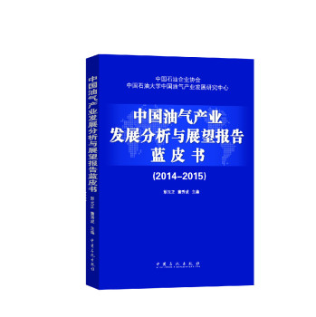 中国油气产业发展分析与展望报告蓝皮书 下载