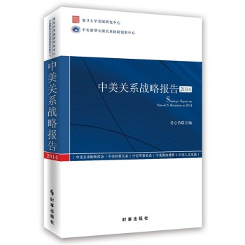 中美关系战略报告·2014 下载